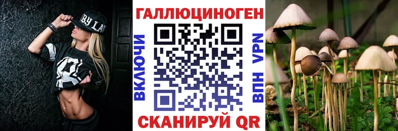Галлюциногенные грибы мицелий Ленинск